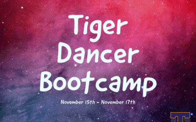 Tiger Dancer Bootcamp